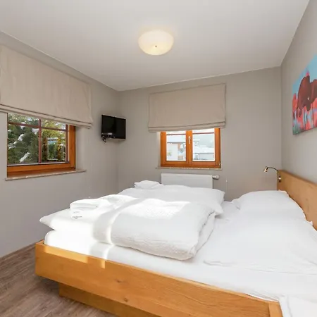 In Dienten On Hochkoenig Slopes, Cleaning Included Chalet *